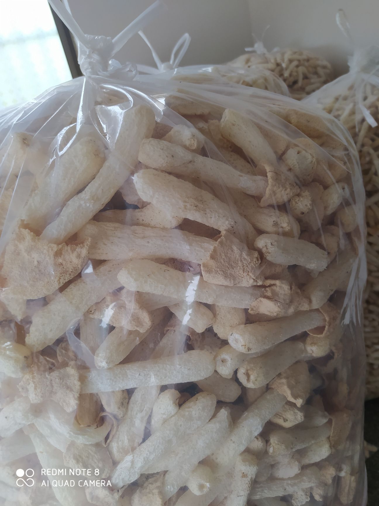 长裙竹荪  竹荪