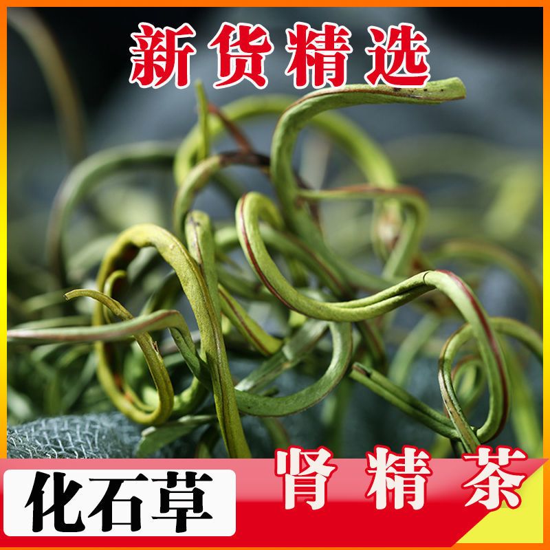 化石草  肾精茶   细叶化石草 正品干货  