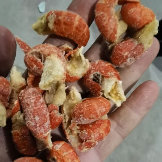 郑州小龙虾 原料虾尾