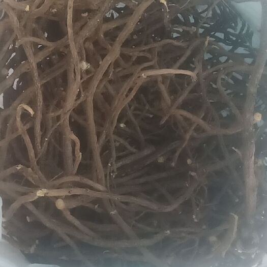 英吉沙县光果甘草  新疆甘草，已去芦头，已洗净，已分剪