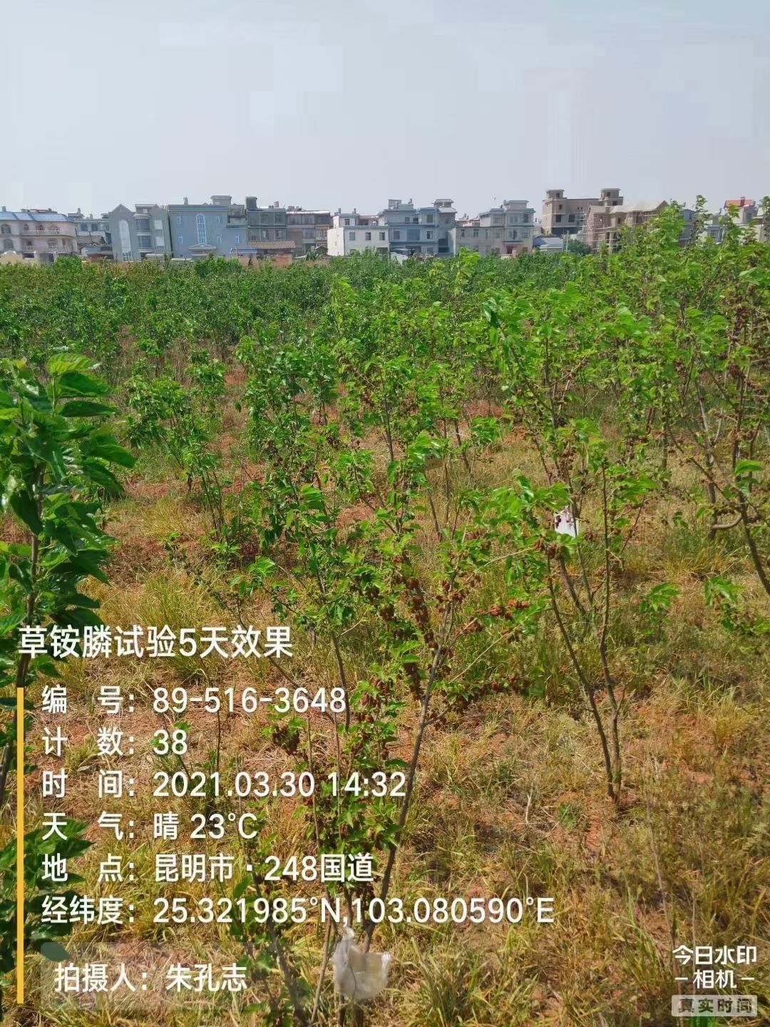 20%草铵膦草胺磷果园荒地非耕地牛筋草小飞蓬杂草除草剂精粉