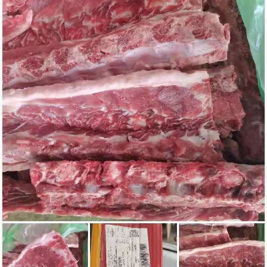 广州猪骨头  284.1274多肉龙骨大量入货！