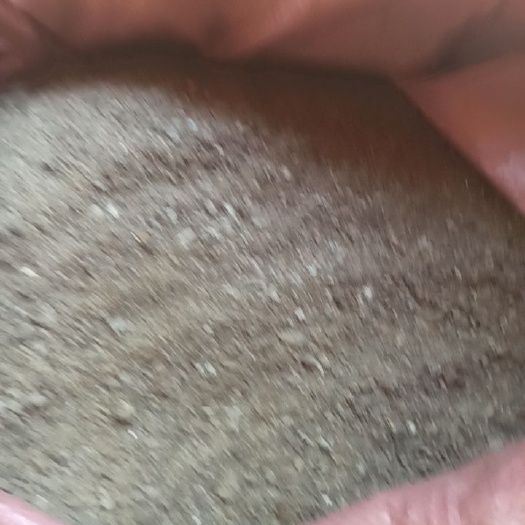英德市 优质鸡粪