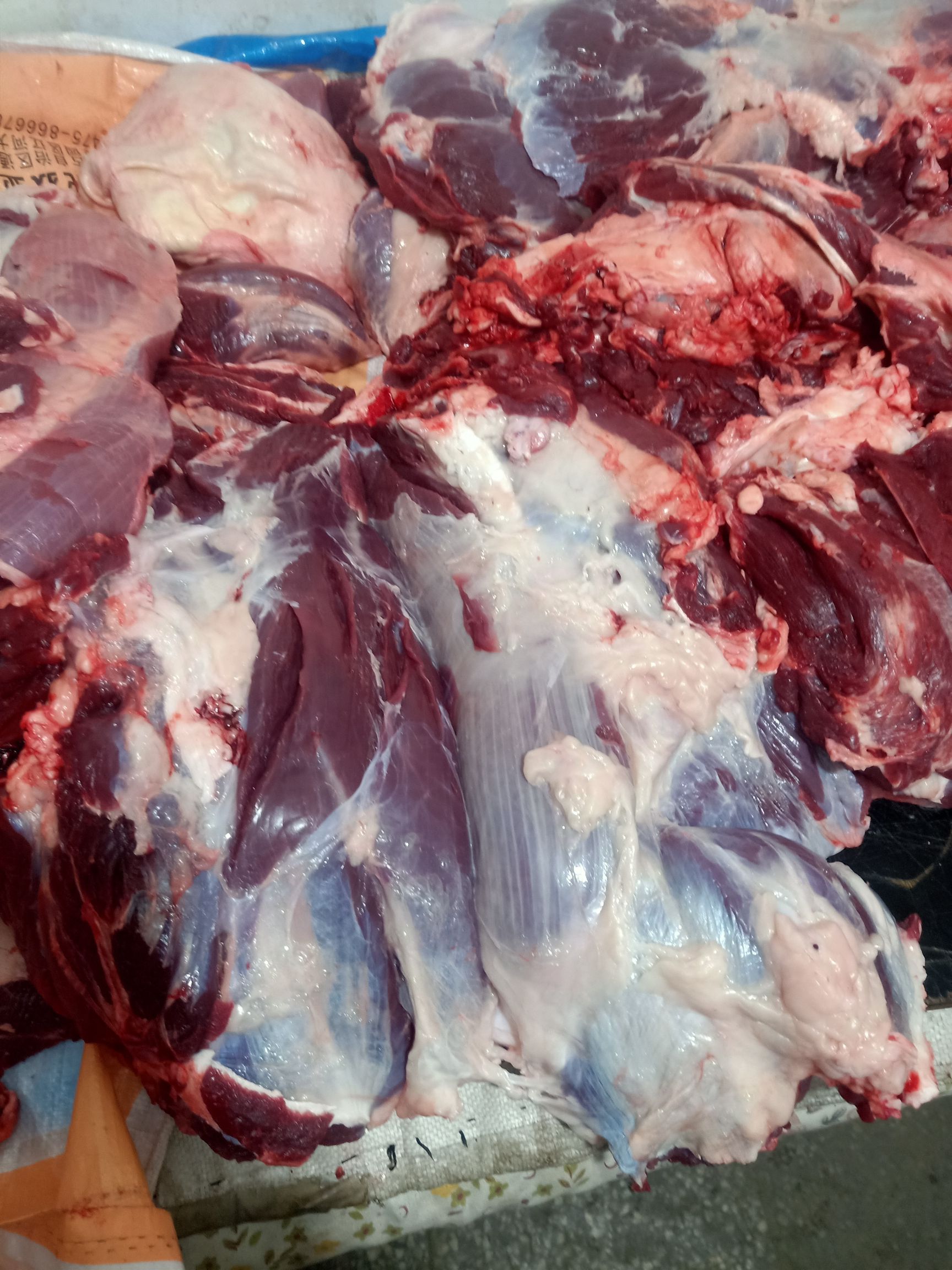 牛肉类  纯草地黄牛公牛，西门塔尔牛