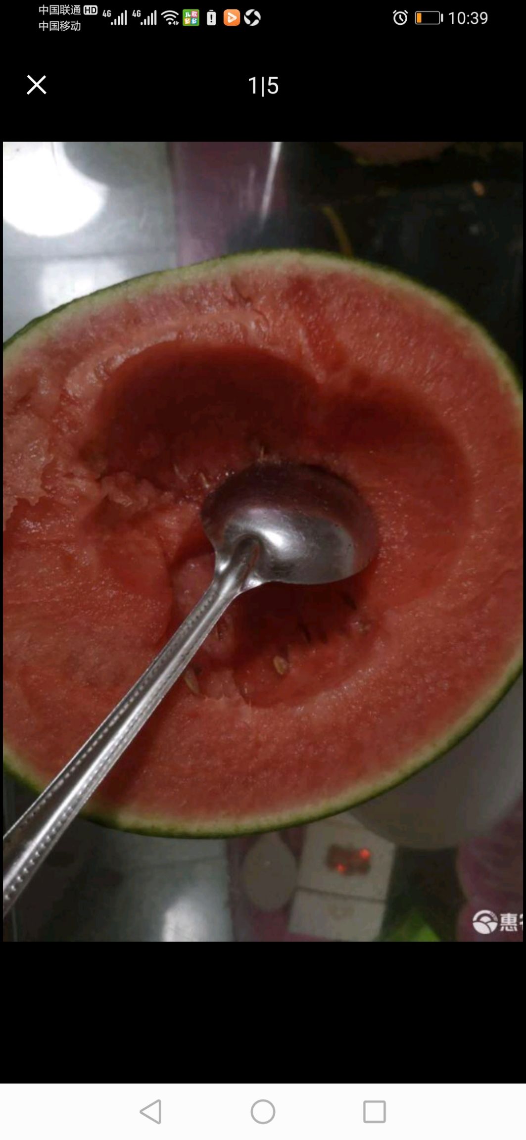 吊西瓜  北京庞各庄小西瓜 皮薄肉厚  清脆爽口  欢迎订购