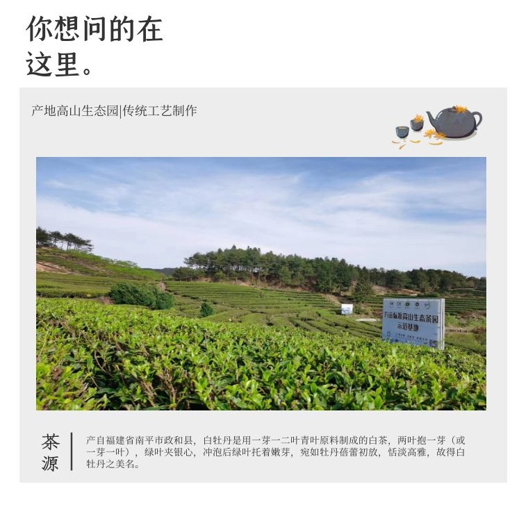 福建白茶白牡丹茶2020年福鼎政和白茶高山花香清香毫香老白茶