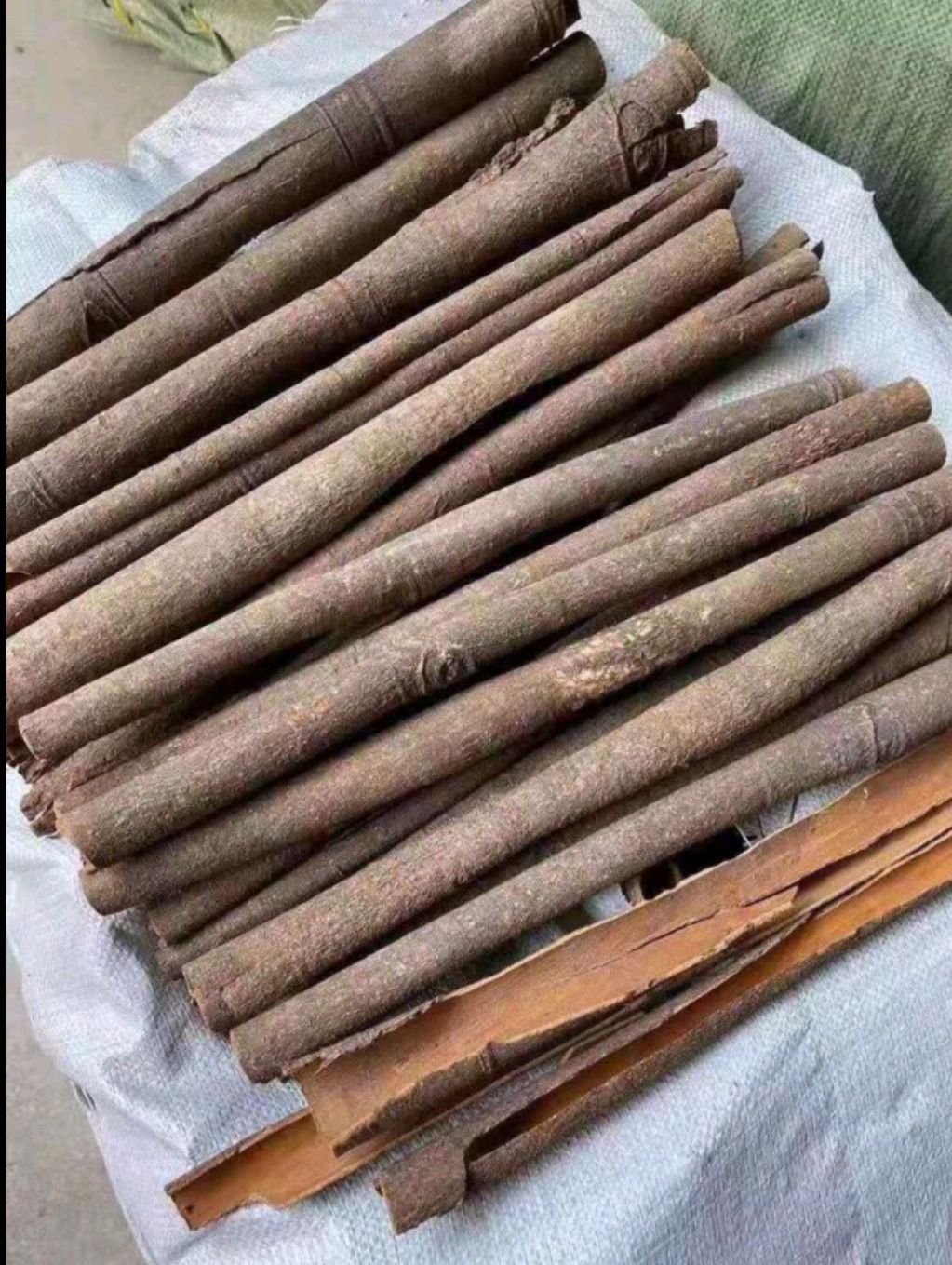 普通桂皮，广西桂皮天然晒干，产地直销