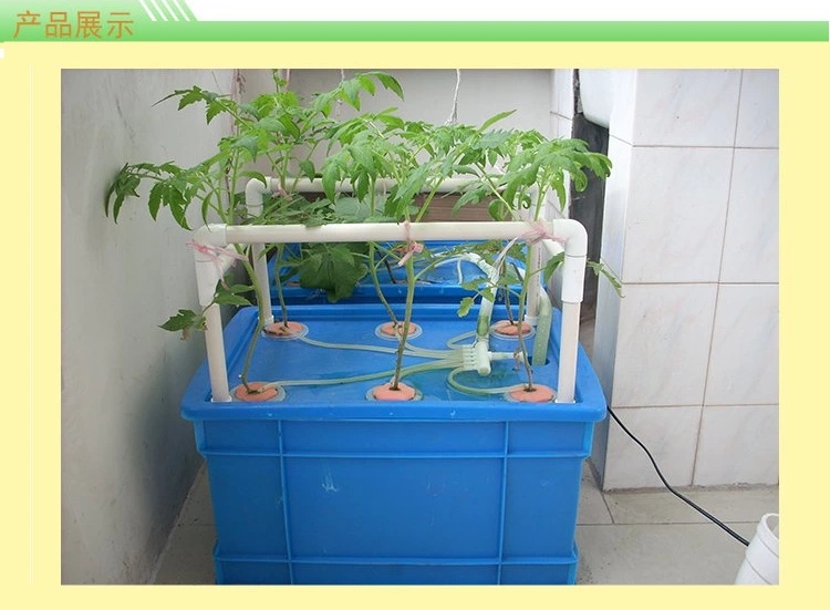 箱式无土栽培设备 阳台种菜 水培水耕蔬菜机 组合花架 盆