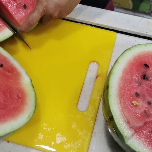 岳阳8424西瓜 西瓜基地直销，