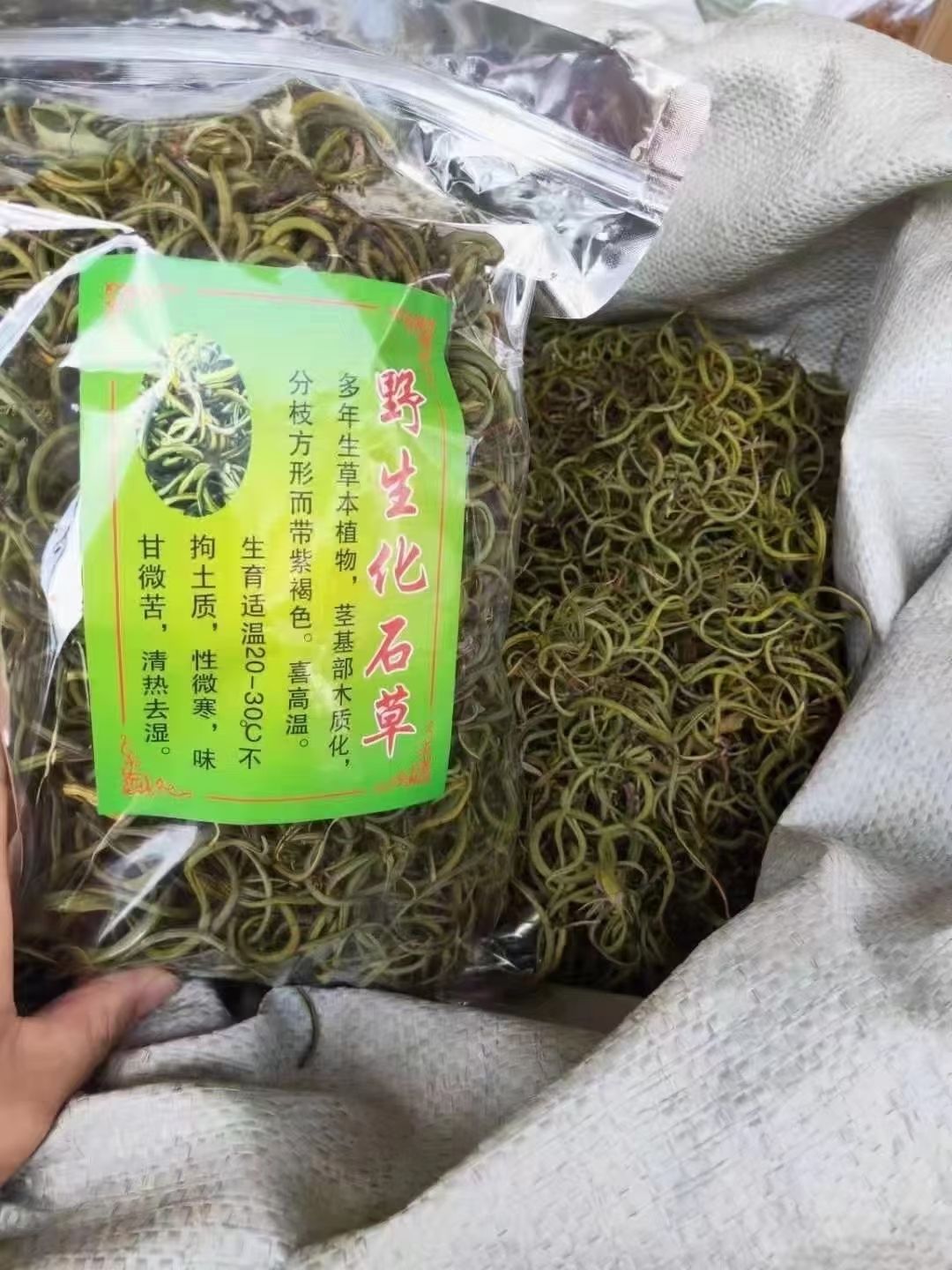 化石草  肾精茶   细叶化石草 正品干货  
