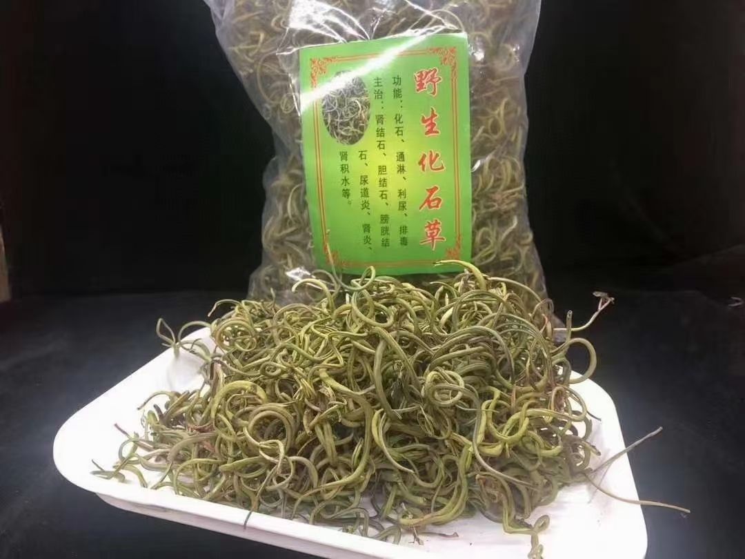化石草  肾精茶   细叶化石草 正品干货  