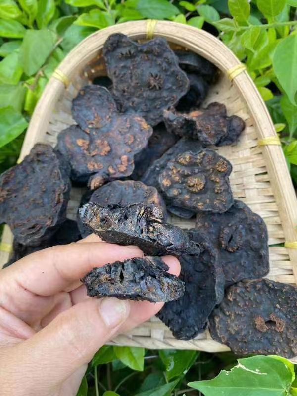 广西首乌 老首乌  首乌  首乌  菊花纹形 黑豆木桶