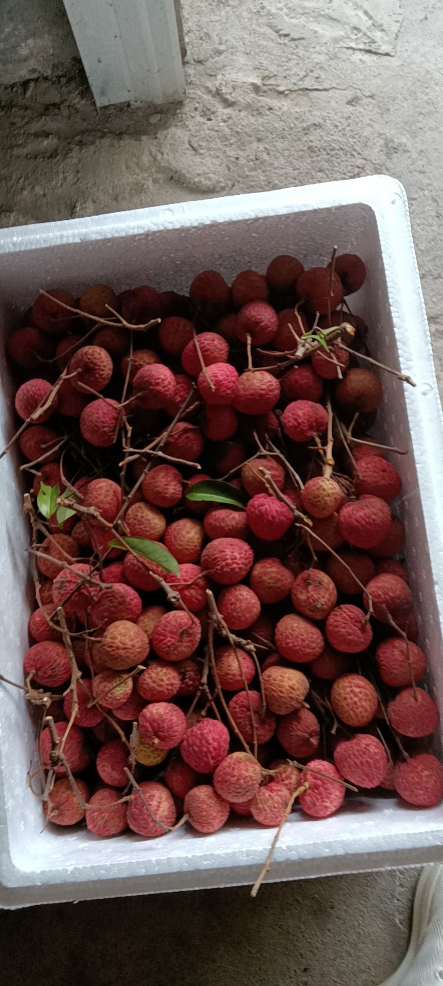 广东荔枝 糯米糍荔枝 10斤果大核小厚肉 清甜爽口 顺丰空运