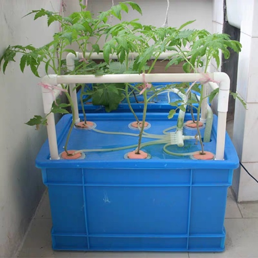 寿光市箱式无土栽培设备 阳台种菜 水培水耕蔬菜机 组合花架 盆