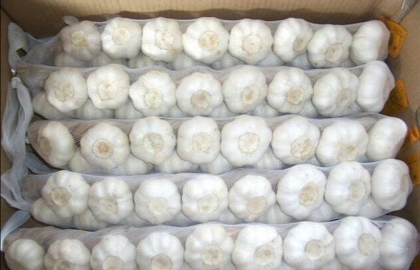 邳州市出口精品白蒜，全国大蒜种植基地大量供应，直供，没有中间商！