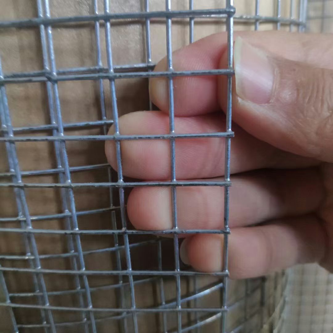 镀锌电焊网 热镀锌电焊网  小孔电焊网 大孔电焊网