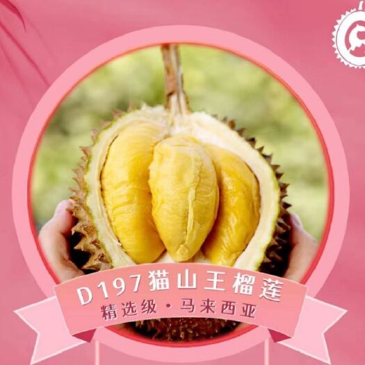 深圳马来西亚精选D197猫山王榴莲