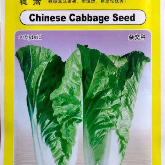 东方市 德高绿阳快菜种子，叶色亮绿耐热，无刺毛，耐热，商品性好