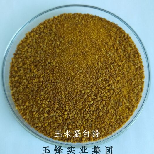 宁晋县蛋白质补充饲料  玉米蛋白粉