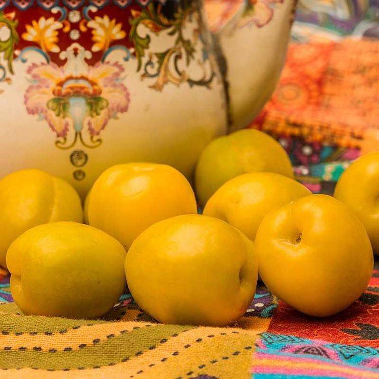 蒙阴当季新鲜珍珠油杏，金钱油蟠桃