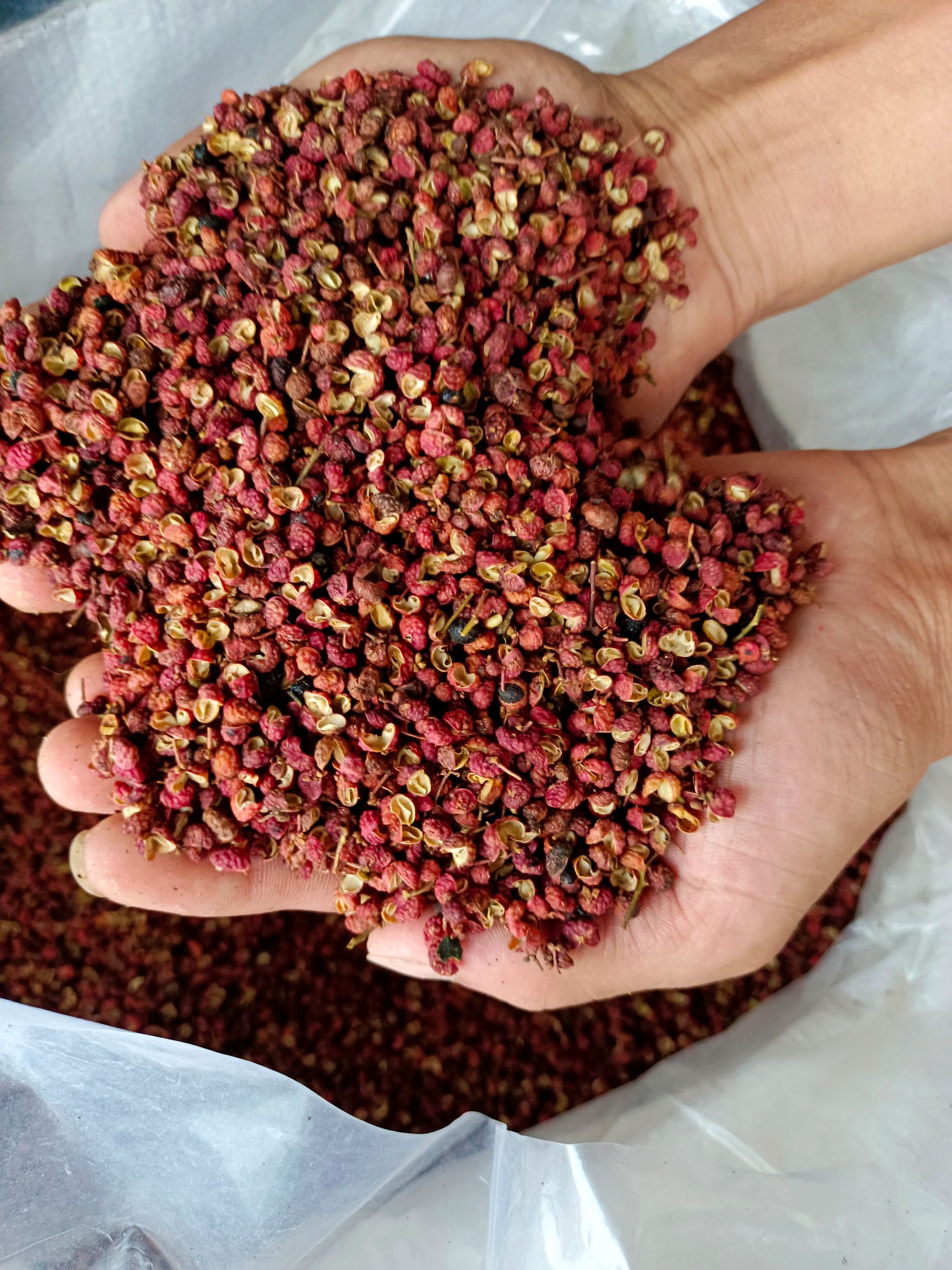 青花椒  红花椒  大红袍  花椒精品YY