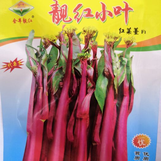 武汉【湖北热销】红菜苔种子早中熟品种耐寒高产鲜嫩脆甜