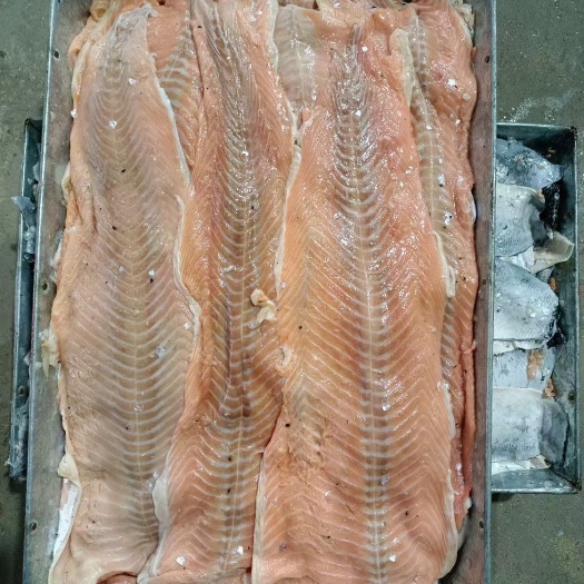 大连马哈鱼鱼脂肪肉