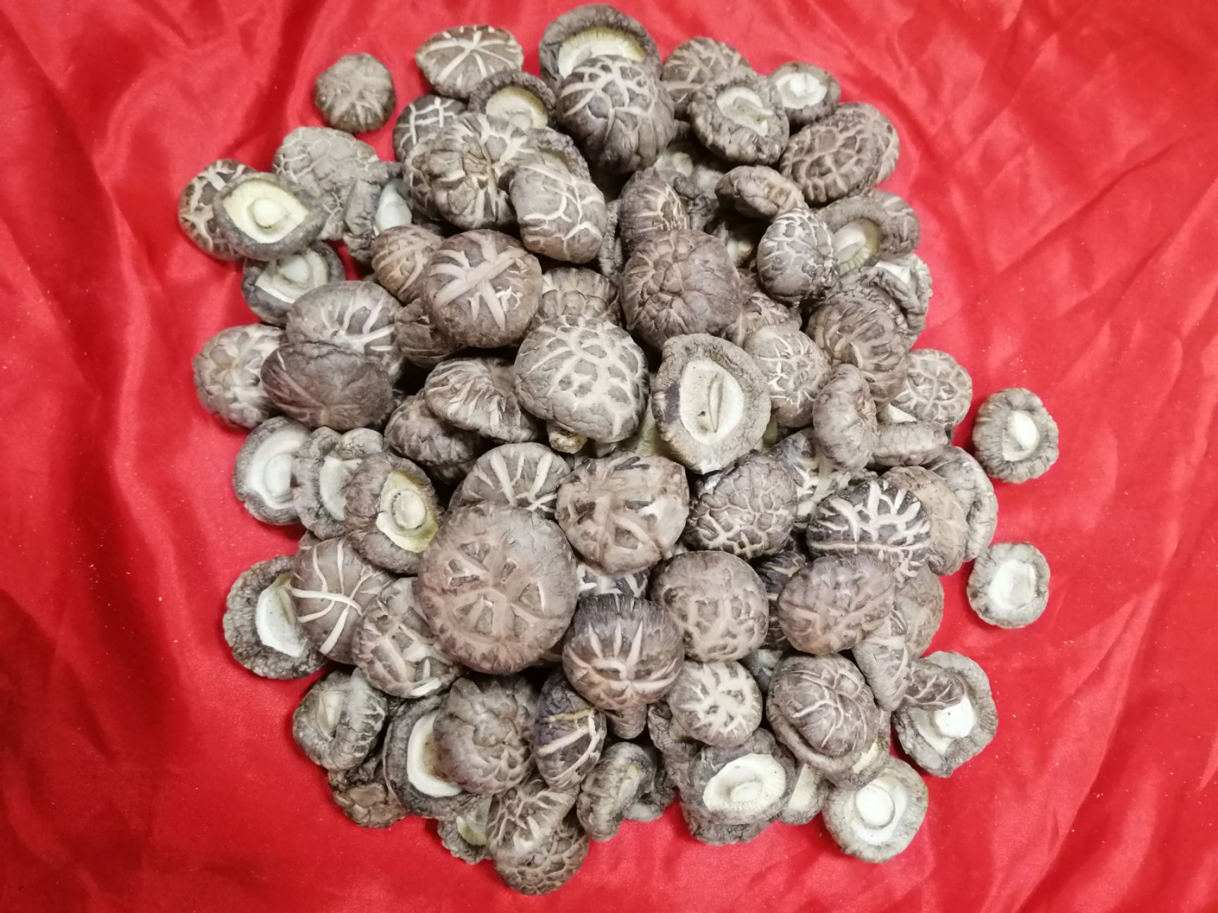 花菇  秦岭商南香菇精选菇特级菇茶花香菇口感醇香肉质鲜嫩产地发货