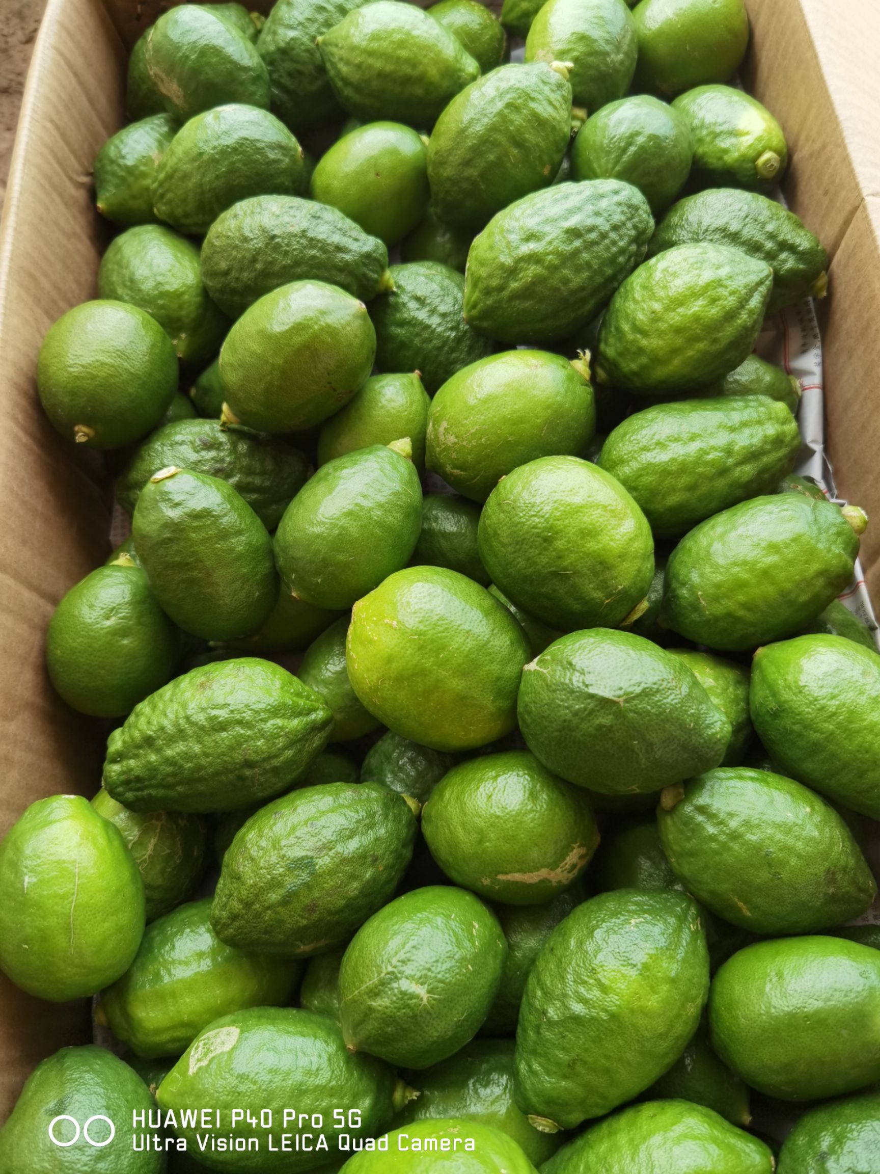 广东香水柠檬青果青黄果皮薄老树果，香味浓郁，产地直发价格便宜