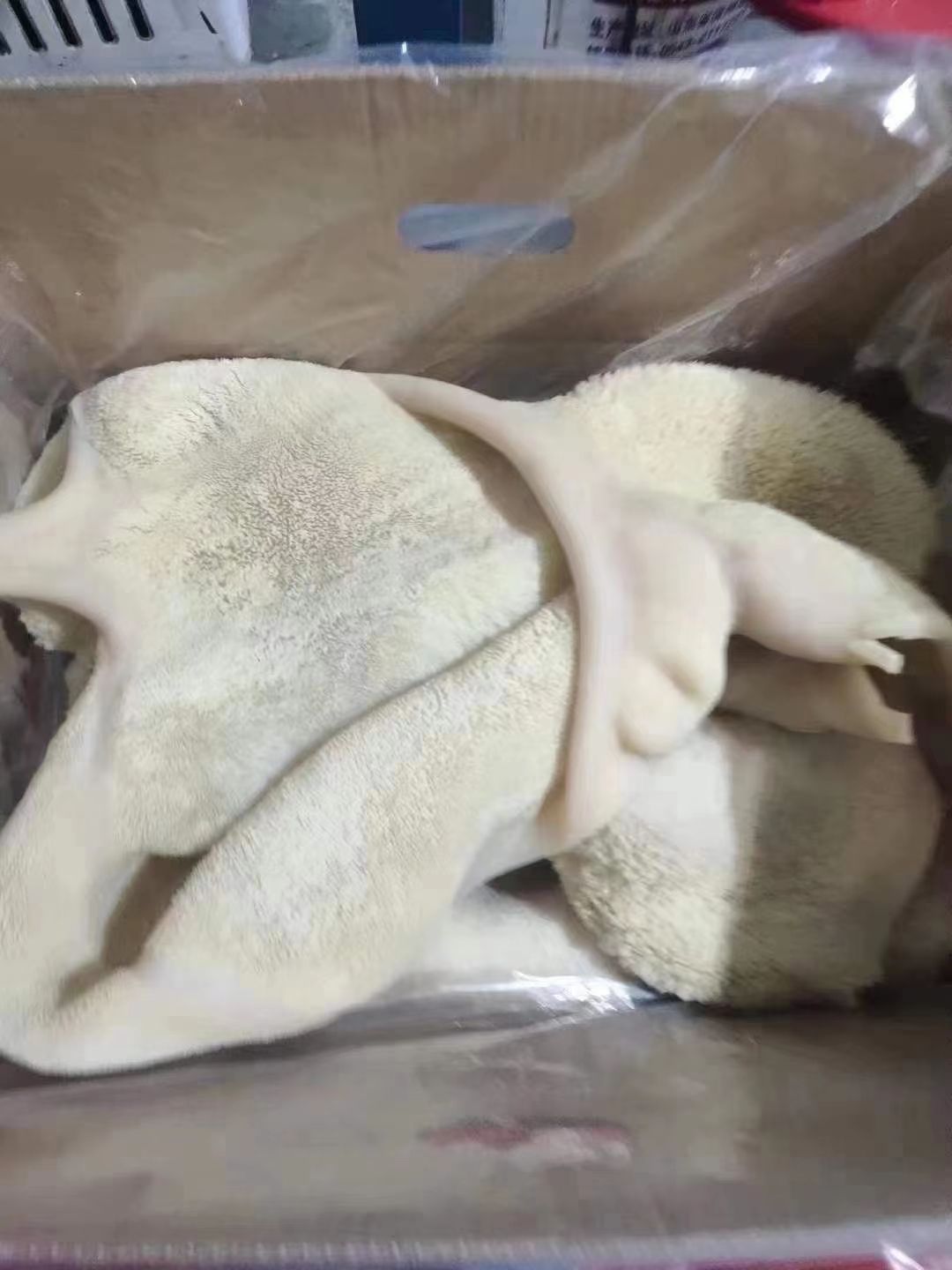 牛肚 全熟牛肚 精修无油 里面干净