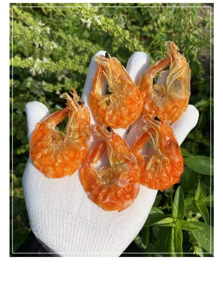 对虾干  软皮烤虾干海水虾对虾海鲜干货脱了壳碳烤虾干老人小孩零食