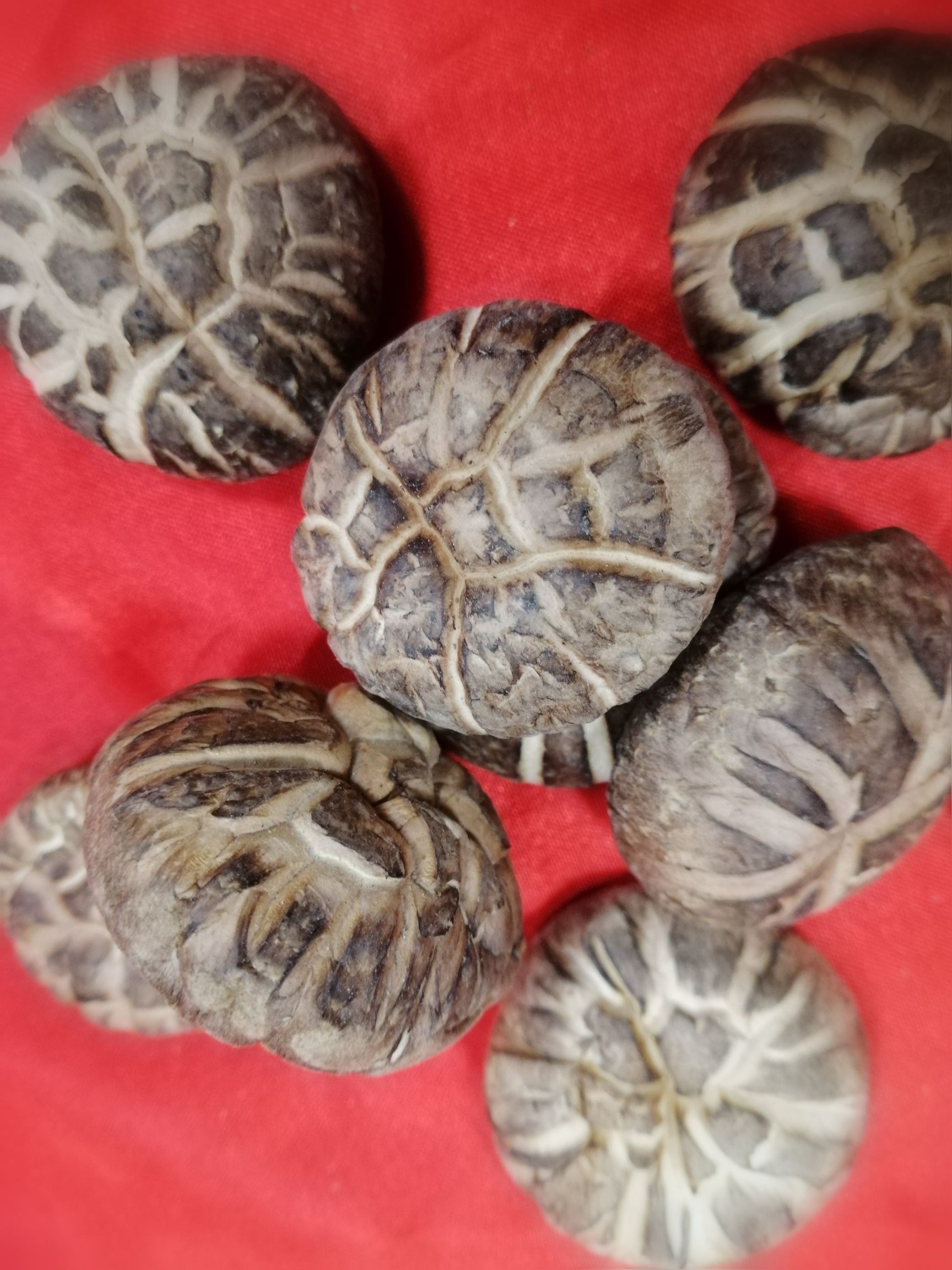 花菇  秦岭商南香菇精选菇特级菇茶花香菇口感醇香肉质鲜嫩产地发货