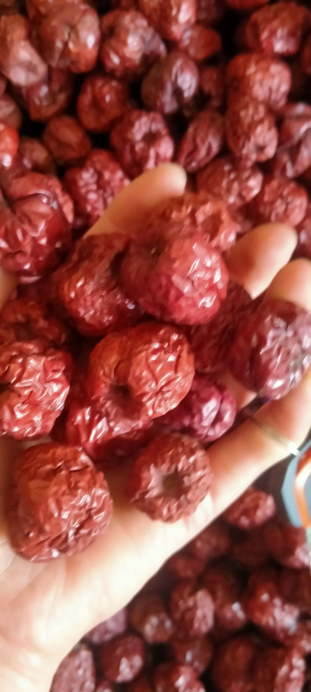 【产地直销】山东德州乐陵市金丝小枣批发元红枣直销元红枣直供