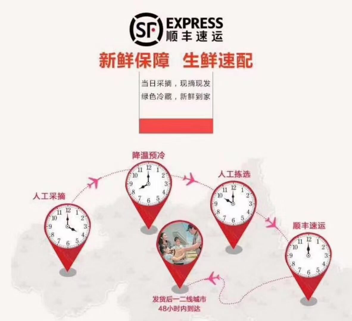 红枸杞  2021年宁夏中宁产地鲜果枸杞一斤80全国顺丰包邮，两斤14