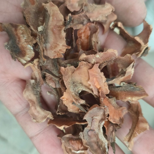 平山县 分心木核桃分心木可药用可泡茶老树新货