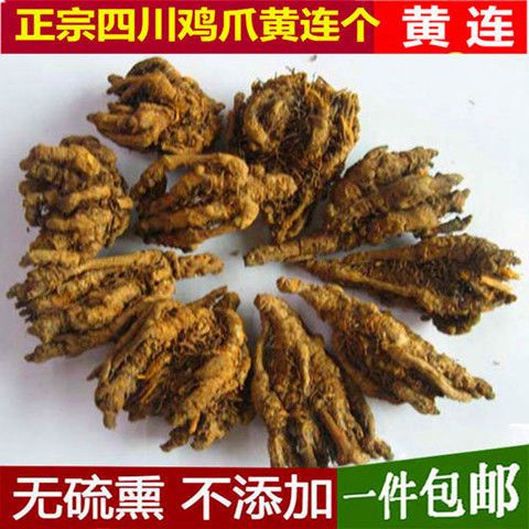 鸡爪黄连 ,支黄莲