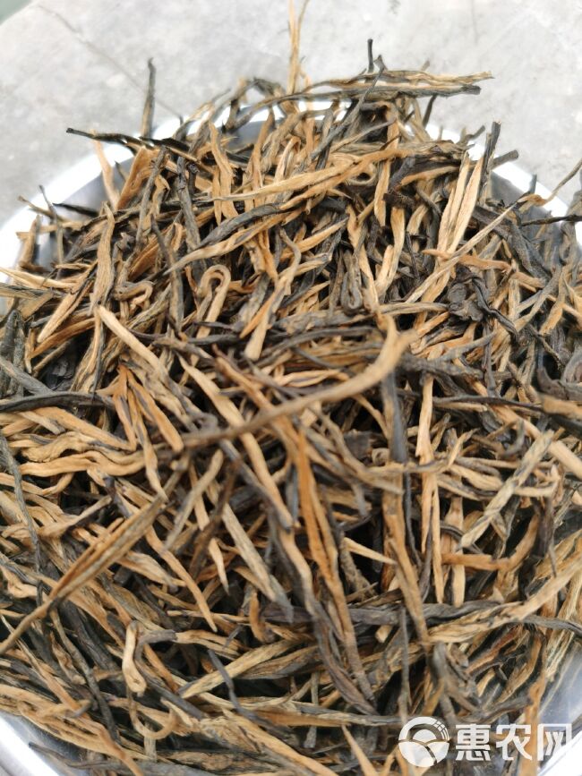 蜜香金针  滇红茶 精品红茶 蜜香红茶一芽一叶