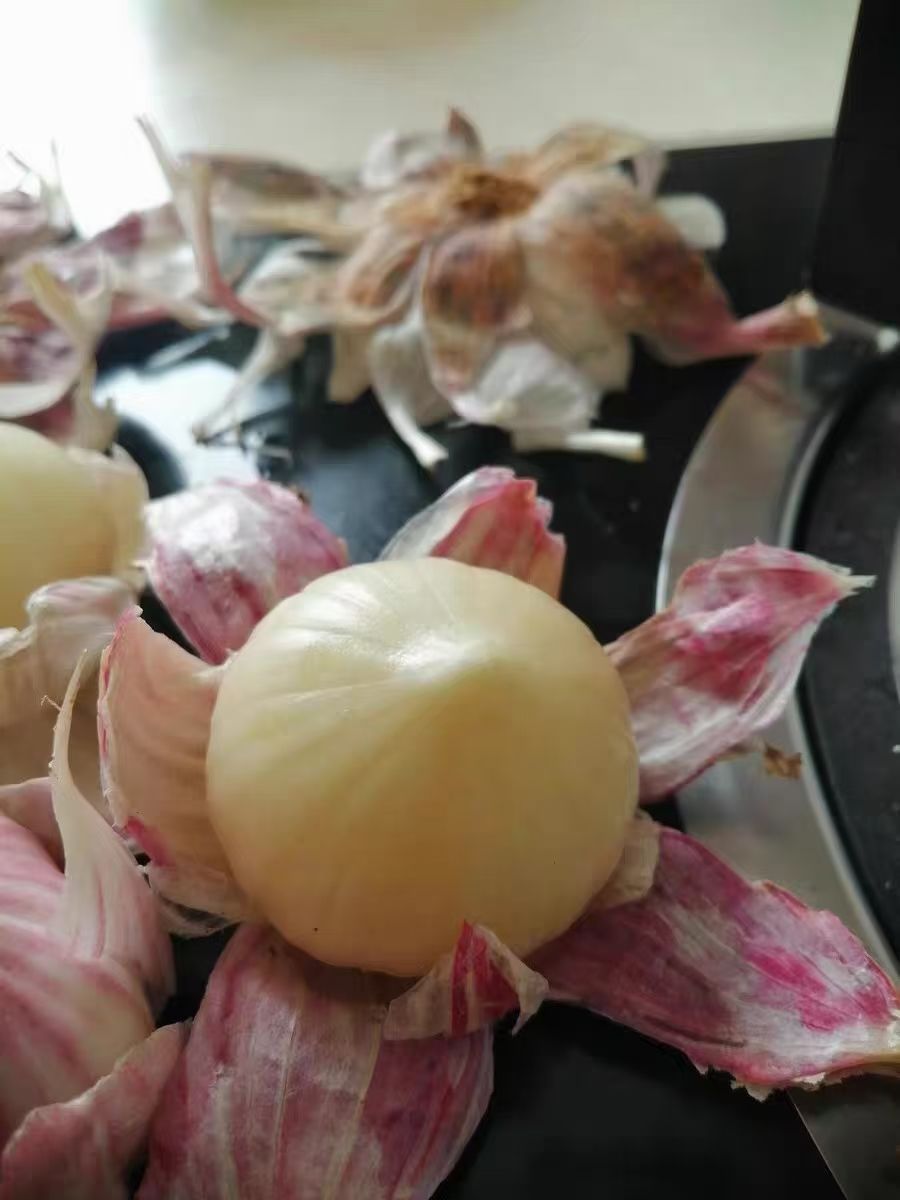  云南大理紫皮独头蒜干蒜