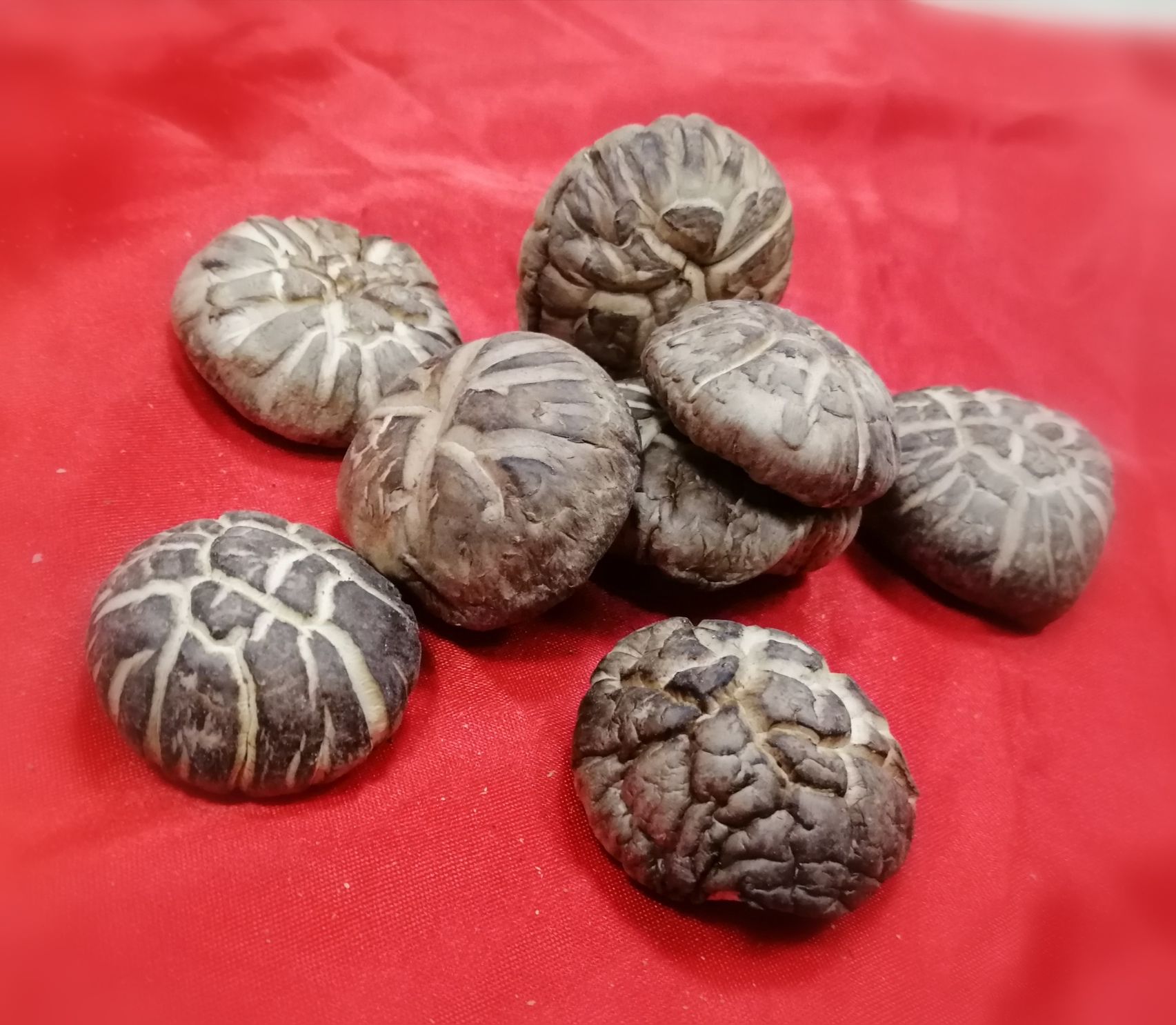 花菇  秦岭商南香菇精选菇特级菇茶花香菇口感醇香肉质鲜嫩产地发货