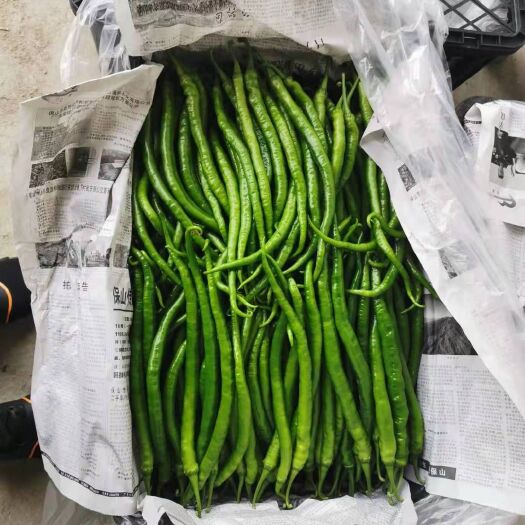 腾冲市二荆条上市，种植面积5千亩，货源充足，可长期供货