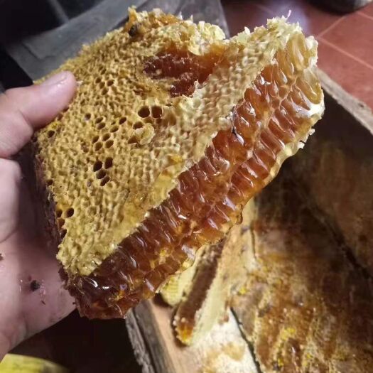 礼县中华蜂,土蜂蜜.百花蜜一年只取一次的土蜂蜜