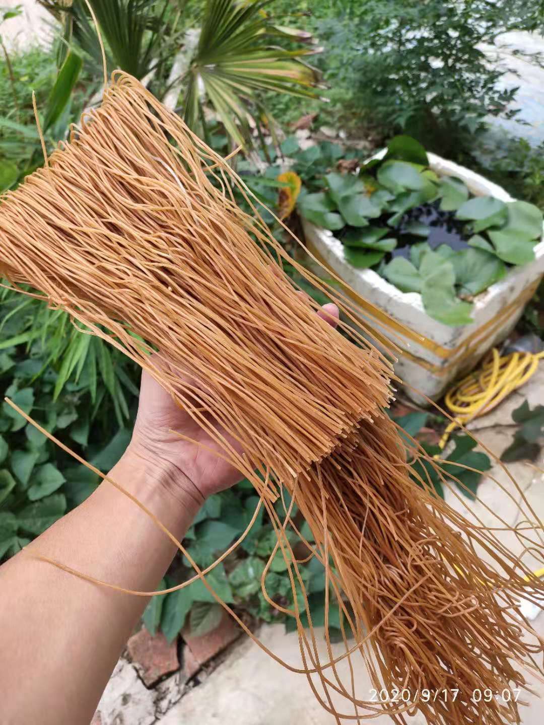 粉丝  淮南牛肉汤专用