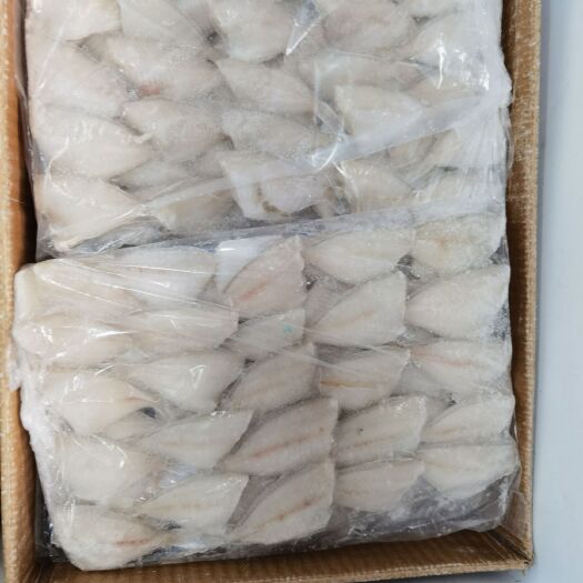 郑州银鱼 玻璃鱼