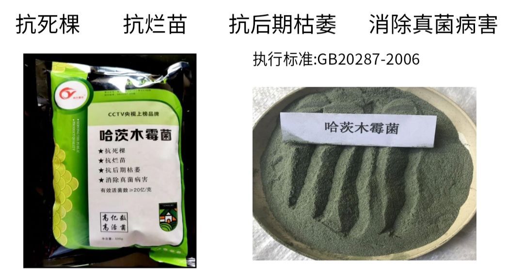 复合微生物菌剂 哈茨木霉菌 土传病害的克星，抗重茬，抗死棵抗枯萎
