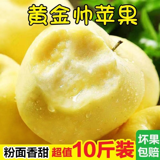 烟台黄元帅苹果新鲜水果黄香蕉平果奶油金帅新鲜奶油富士苹果非红元帅