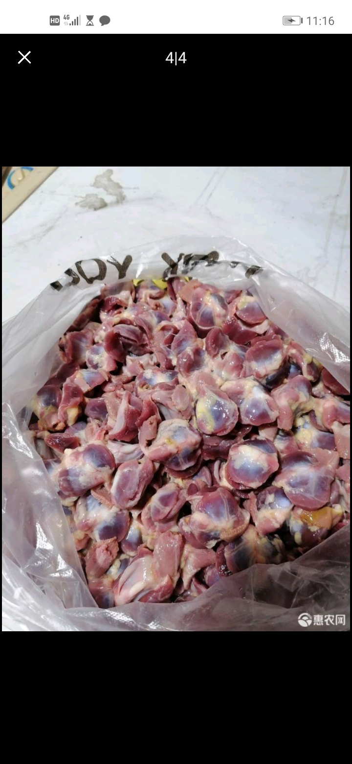 鸽子胗，原粮黄油鸽子胗，冷冻发货，有需要的朋友联系我