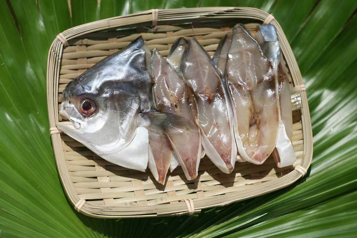 金昌鱼干  活晒金鲳鱼干