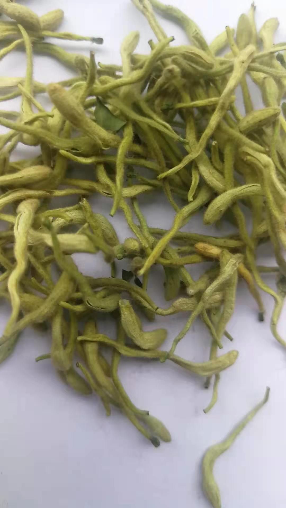 金银花产地直销带绒毛绿色头茬