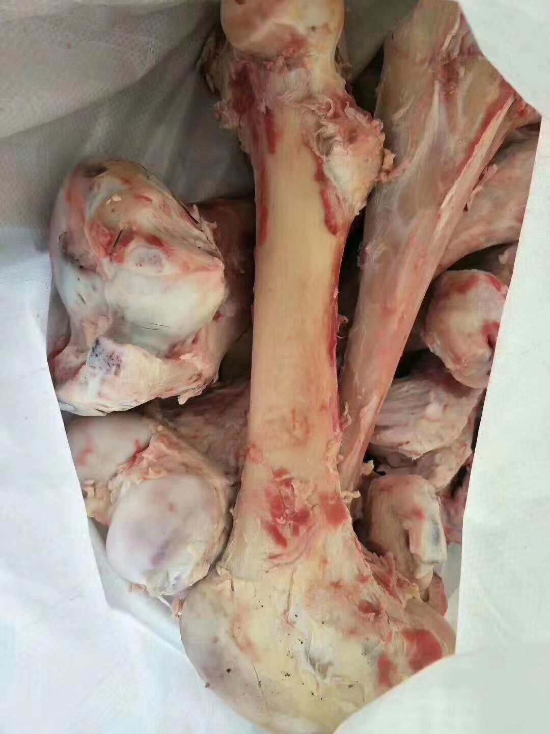 牛骨 纯圆牛棒骨骨髓多熬汤合适。量大从优。欢迎咨询