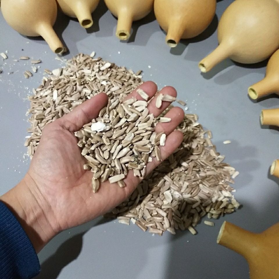 瓢葫芦种子 南瓜种子 葫芦嫁接种子 西瓜嫁接种子